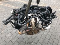 Motor Audi A4 A5 A6 Q5 A7 3.0 TDI CDU CDUC CDUD 244PS komplett Berlin - Wilmersdorf Vorschau