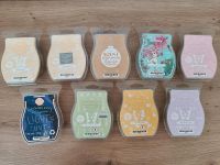 Neue Scentsy Bars Rheinland-Pfalz - Neunkirchen am Potzberg Vorschau