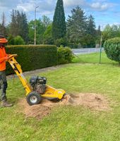 ❗️Gartenpflege Heckenschnitt Wurzelfräsen ❗️ Niedersachsen - Göttingen Vorschau