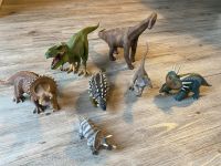 Schleich Dinosaurier Set Ludwigslust - Landkreis - Ludwigslust Vorschau