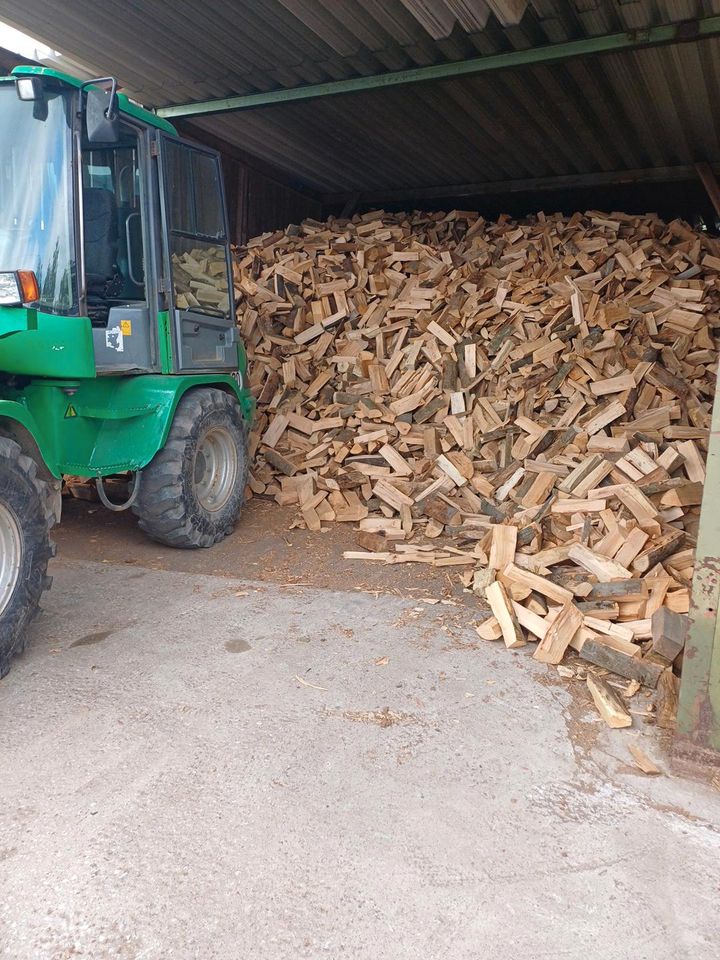 Holz Brennholz Buche 33  CM Ofenfertig Trocken Buchernholz in Betzdorf