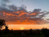 Wanderreitstation im Südschwarzwald/Südbaden Baden-Württemberg - Bad Bellingen Vorschau