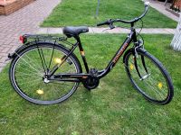 Zündapp Red Series Citybike 28“ Damenrad Bayern - Bayreuth Vorschau