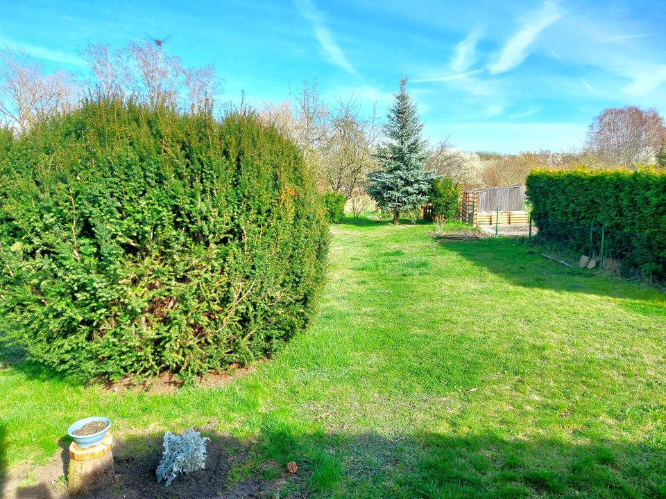 Schönes Einfamilienhaus in Osternienburg mit großem Grundstück in Osternienburger Land