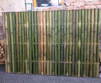 Bambuswand naturgrün 120x180cm starr            #BMRZ-120180-040 Bayern - Jettenbach Vorschau