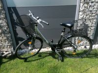 Damen Fahrrad Pegasus Jetzt zuschlagen!! Nordrhein-Westfalen - Lünen Vorschau