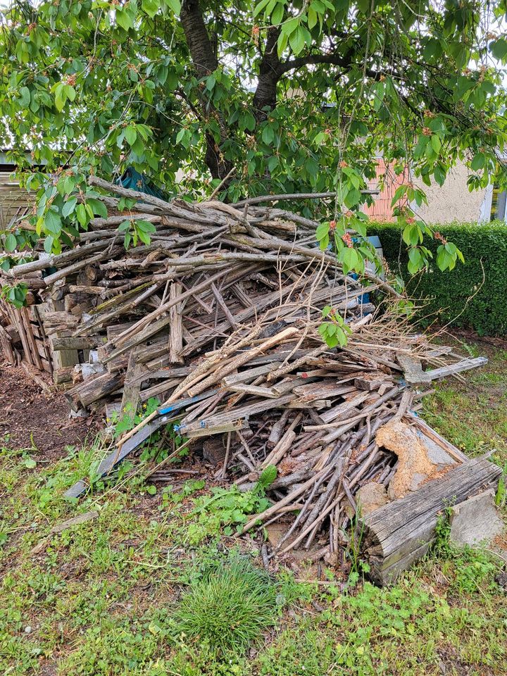 Feuerholz trocken in Welzow