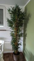 künstliche Zimmerpflanze, Palme Niedersachsen - Wolfsburg Vorschau