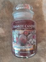 Yankee Candle Duftkerze 623g Sugared Plums Deerfield 2016 Rarität Sachsen - Rodewisch Vorschau