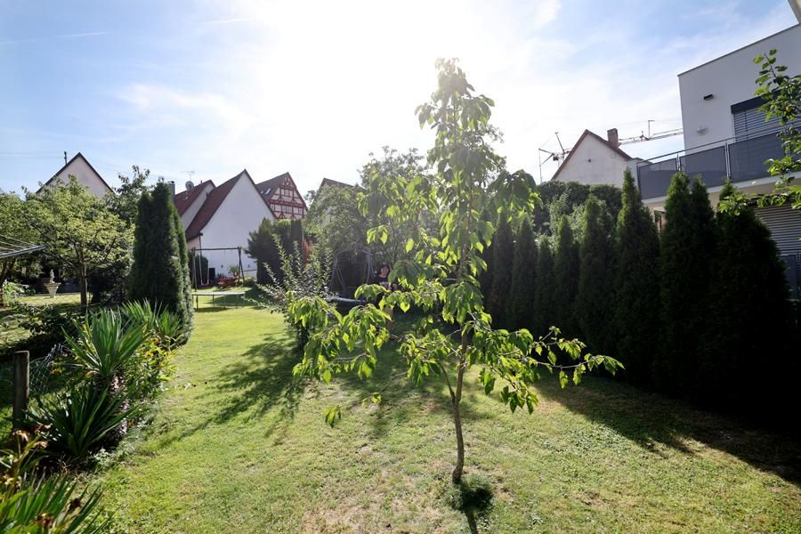 +++ Ein Haus, viel Garten, 3 Wohnungen ... in 72581 Dettingen Erms in Dettingen an der Erms