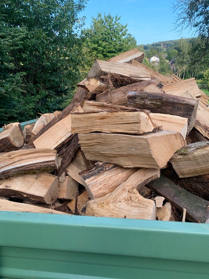 Laubmix Hartholz Brennholz auch als Stammholz  Buche,Eiche,Esche. in Nonnweiler