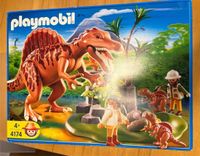 Playmobil Dinosaurier Set 4174 vollständig! Rheinland-Pfalz - Ingelheim am Rhein Vorschau