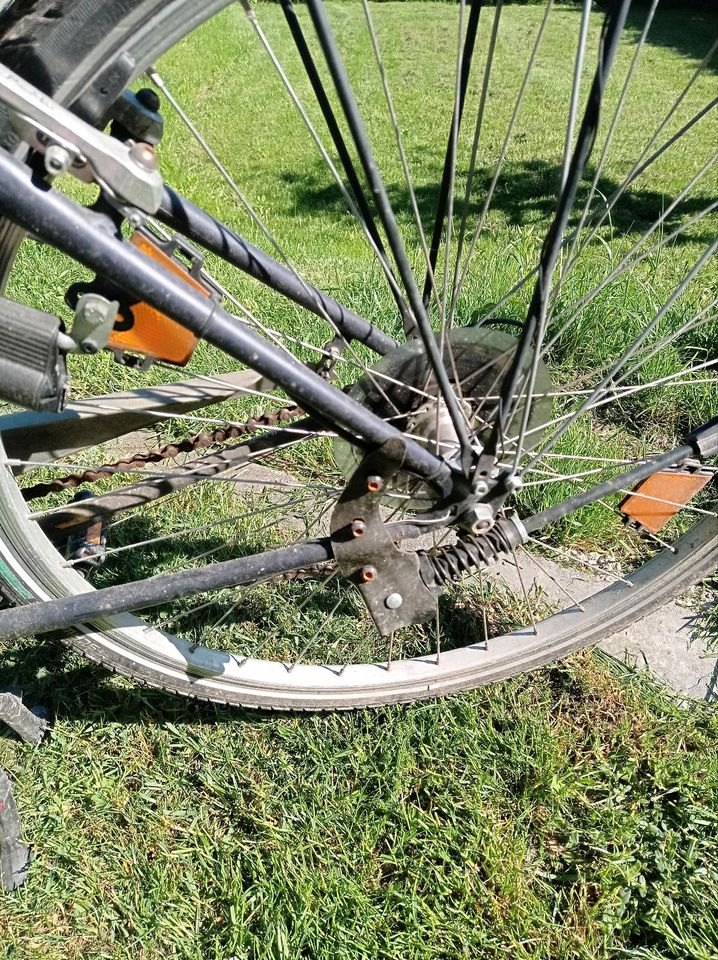 Damenrad Fahrrad Kalkhoff 28 Zoll in Detmold