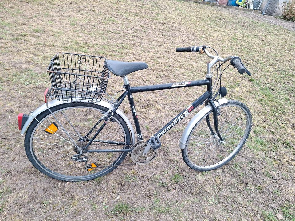 Fahrrad 29 Zoll in Hainburg