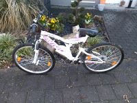 Avigo Flamingo 26 Zoll Fahrrad Bayern - Rückersdorf Vorschau