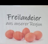 Frische Freiland Eier an Wiederverkäufer, händler, Hofläden,Hotel Mecklenburg-Vorpommern - Neukloster Vorschau