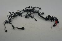 Triumph Street Triple 765 S R RS Kabelbaum Wire Harness T2507127 Münster (Westfalen) - Wolbeck Vorschau