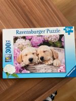 Hundewelpen Puzzle 300 Nordrhein-Westfalen - Hallenberg Vorschau
