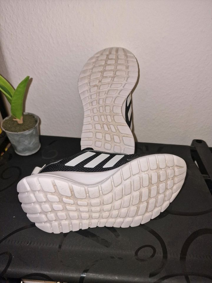 Adidas Schuhe für Jungen, Größe 31 in Augsburg