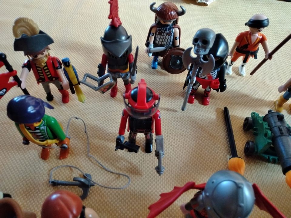 Playmobil Figuren in Kaiserslautern