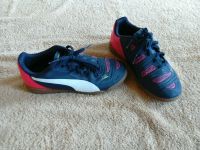 Puma Hallenschuhe Sportschuhe Turnschuhe Gr. 33 Mecklenburg-Vorpommern - Sassen-Trantow Vorschau