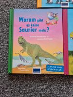 Warum gibt es keine saurier dinosaurier mehr buch Stiftung lesen Hessen - Eppstein Vorschau