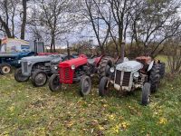 Massey Ferguson Tea 20 benzin Sachsen-Anhalt - Magdeburg Vorschau