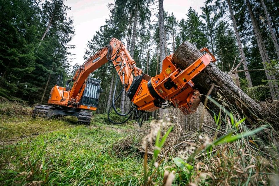 Mulcharbeiten, Forstmulchen, Rodung in Reiskirchen