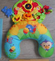 Fisher-Price Löwen-Spielkissen Babyspielzeug Bauchlage Niedersachsen - Braunschweig Vorschau