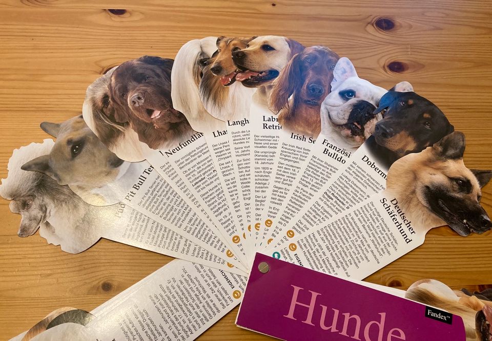 Fandex Hunderassen Hundelexikon Buch Fächer Dog Geschenkidee in Selters