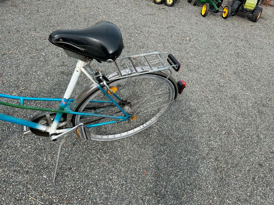 Fahrrad Herkules in Grasberg