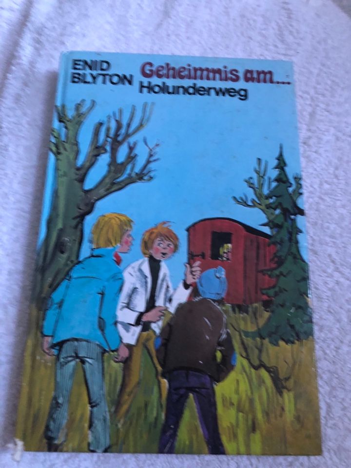 15 Enid Blyton Bücher * nur komplett in Wuppertal