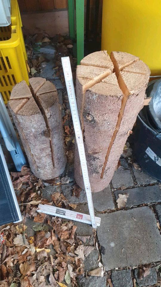 Baum Fackel Fichten Holz in Vaterstetten