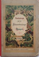 Buch der Schmetterlinge und Raupen, Rockstroh, 1883 Berlin - Köpenick Vorschau