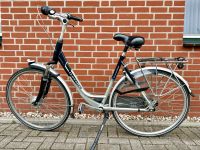 Gazelle Orange Plus Innergy Damen Fahrrad Nordrhein-Westfalen - Rees Vorschau