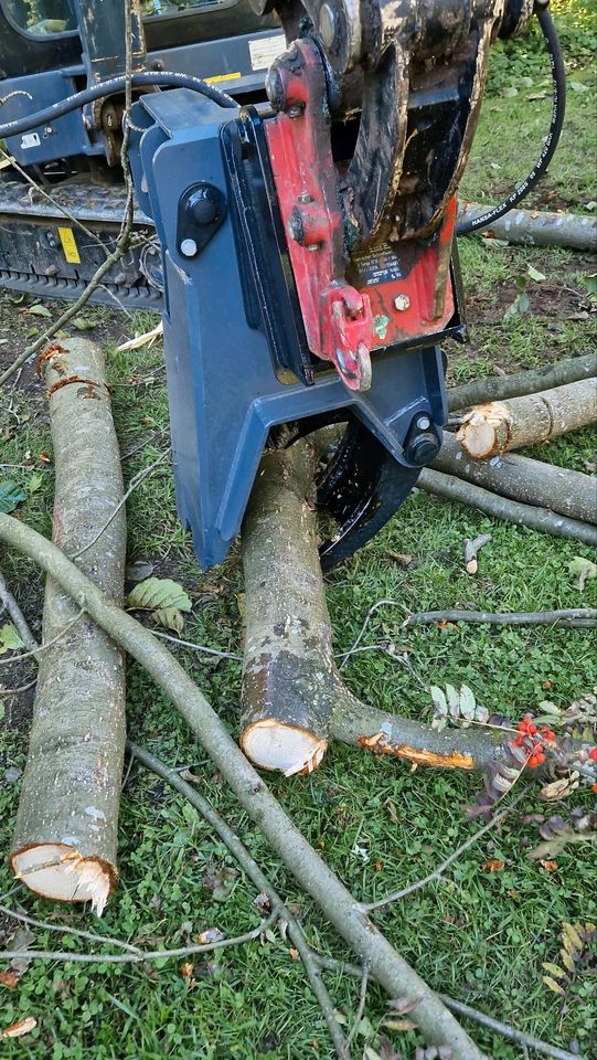 Baumschere Fällgreifer Minibagger Hoflader Avant tecno Multione in Kastl b Kemnath