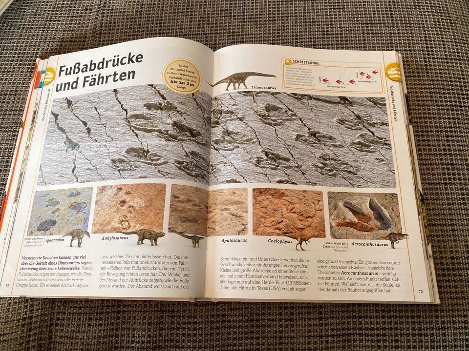 Buch Dinosaurier. Lebewesen und Fossilien der Urzeit in über 1000 in Dannstadt-Schauernheim