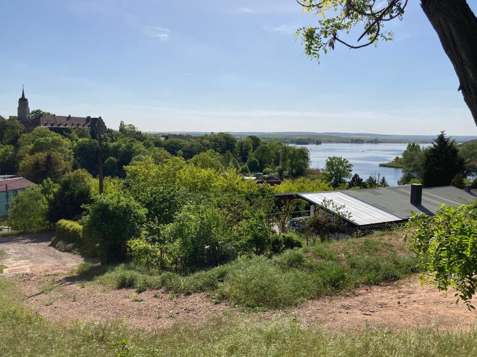 Rarität! Großzügiges Baugrundstück mit Baugenehmigung und unverbaubarem Seeblick! in Seegebiet Mansfelder Land