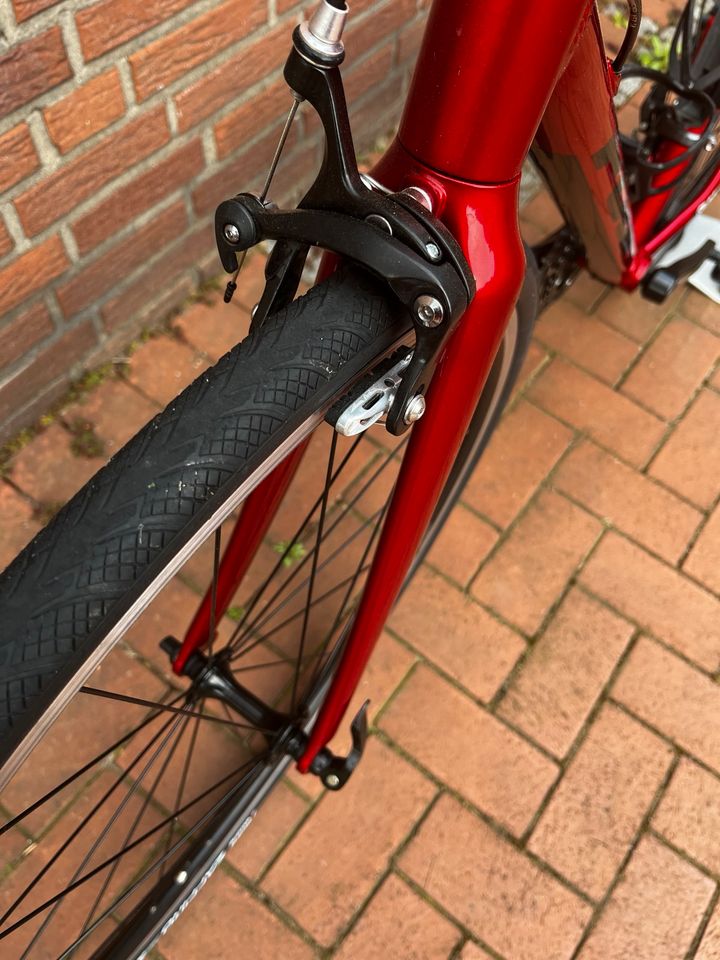 Fuji Sportif Two.3 in Lingen (Ems)