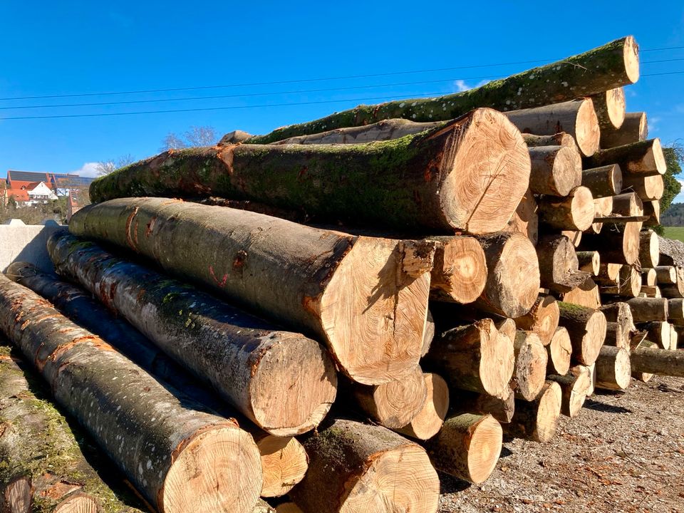 Brennholz Buche Kaminholz Hartholz 50cm ofenfertig in Westheim