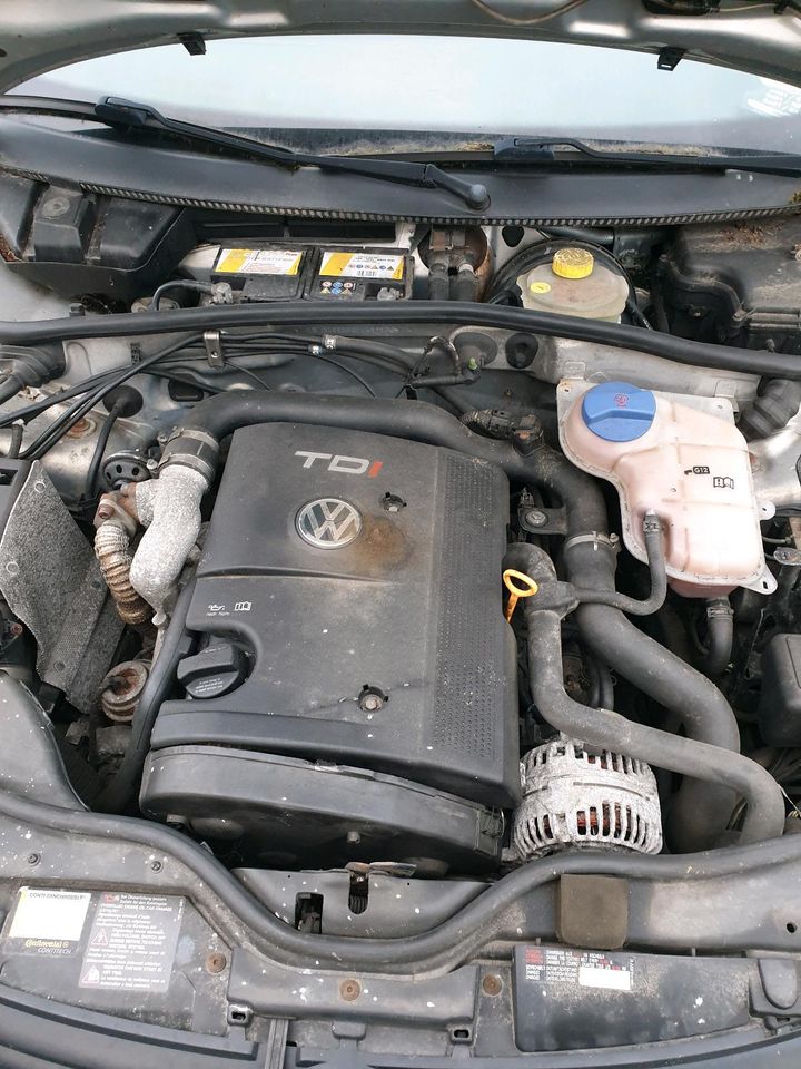 VW Passat 3b 1.9 TDI in Itzehoe