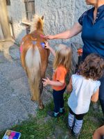 Kindergeburtstag, Pony Geburtstag, Geburtstag mit Ponys Nordrhein-Westfalen - Rietberg Vorschau