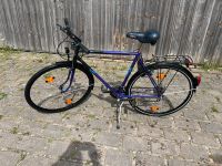 Pegasus Herren Rad Fahrrad - 28 Zoll - 9 Gang Shimano Bayern - Allersberg Vorschau