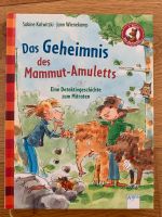 Buch „Das Geheimnis des Amuletts“ Bayern - Kammerstein Vorschau