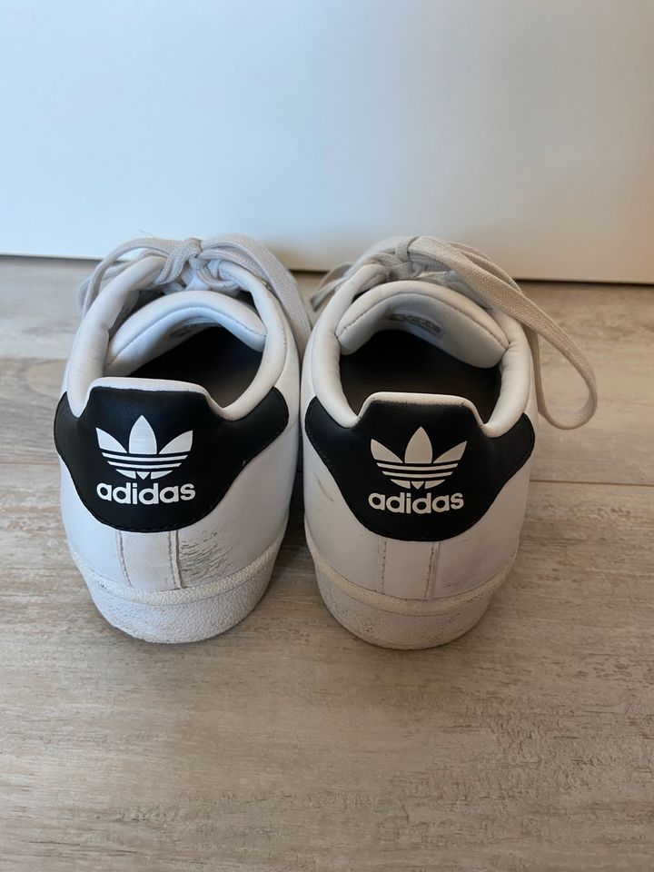 Adidas Superstars in Albstadt