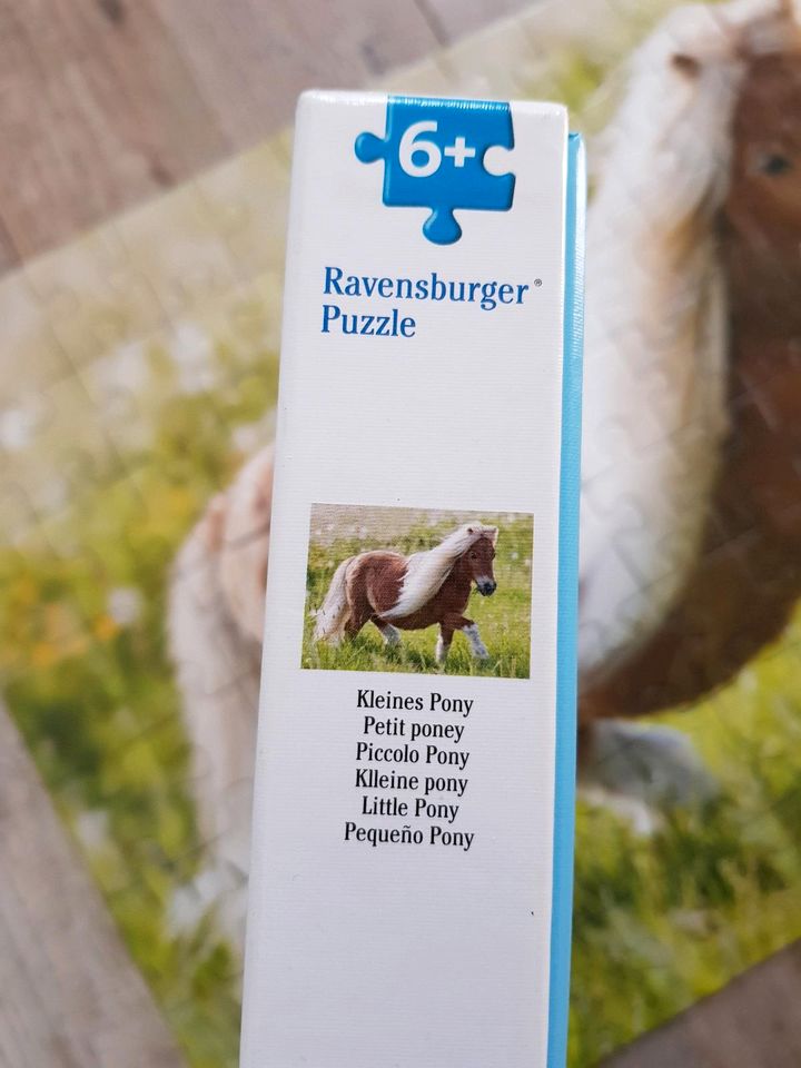 Ravensburger Pferde Puzzle 6+ in Grevenbroich