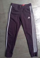 Adidas Gr 152 Jogginghose und  Jacke Bayern - Roth Vorschau