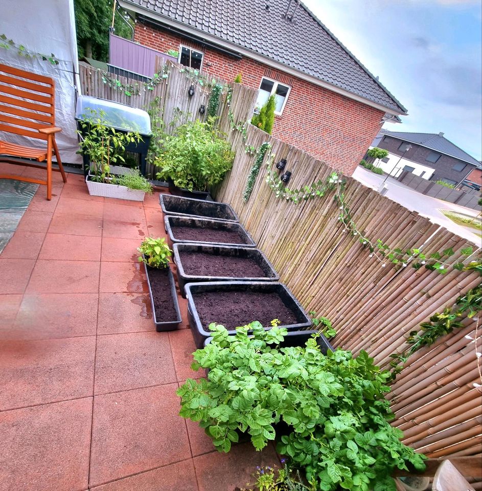 Tolle Wohnung in schöner Wohnlage in Neuenhaus