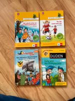 4 Bücher für einen preis Lesedrachen Leserabe Kinderbücher  3 Kl. Nürnberg (Mittelfr) - Nordstadt Vorschau