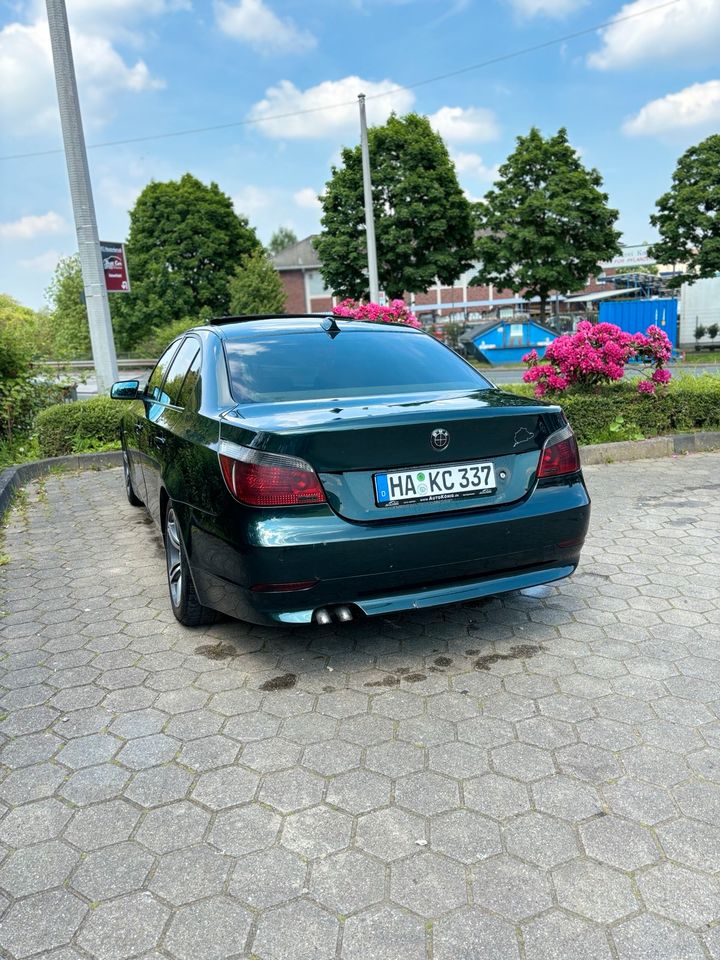 BMW E60 530D in Hagen